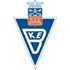 Escudo del Bergara Kirol Elkartea