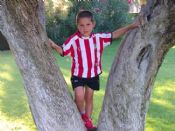 markel
