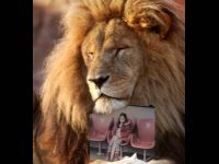 aupa leones podemos