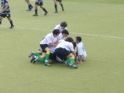 gooooooooooooooooool