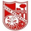 Escudo del Navega