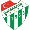 Escudo del Bursaspor