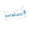 Escudo del Soraluze B.H.I