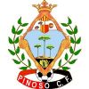 Escudo del Pinoso