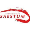 Escudo del Saestum