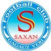 Escudo del Saxan