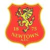 Escudo del Newtown