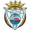 Escudo del Noia