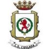 Escudo del Coslada