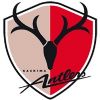 Escudo del Kashima Antlers