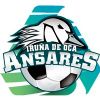 Escudo del Ansares