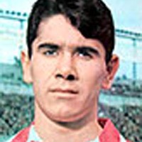 Lavín Lavín