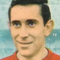 Nando Yosu Nando Yosu