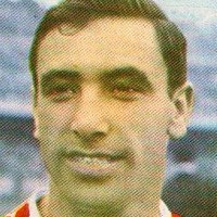 Mauri Mauri