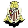 Escudo Peña Gainza de Mislata - Valencia
