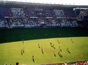 El Nuevo Zorrilla