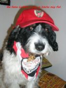 Me llamo Lumpi y soy un hincha muy fiel