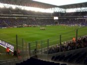Leones en Cornella
