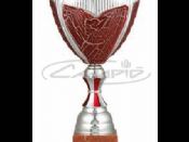 TROFEO UEFA-COPA