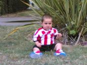 markel