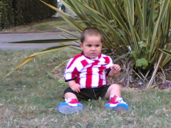 markel