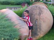 markel