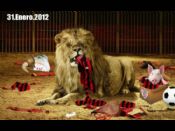 31-01-2012 El león se come el Txarri