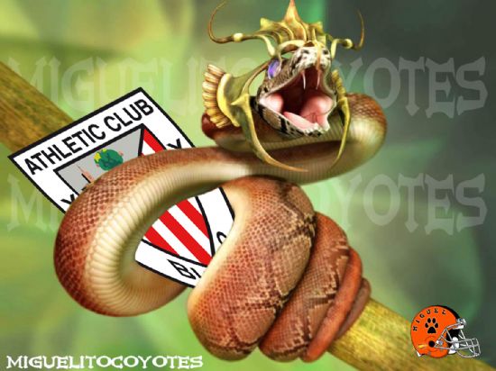 ATHLETIC MIGUELITOCOYOTES