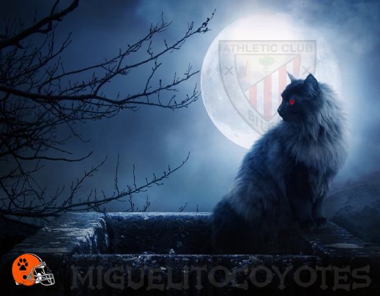 ATHLETIC MIGUELITOCOYOTES
