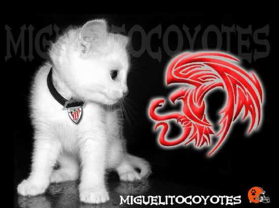 ATHLETIC MIGUELITOCOYOTES