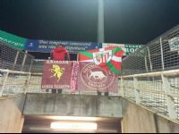 Parma - Torino 0-2 