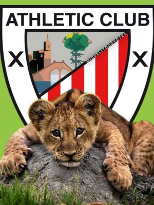 MIGUELITOCOYOTES