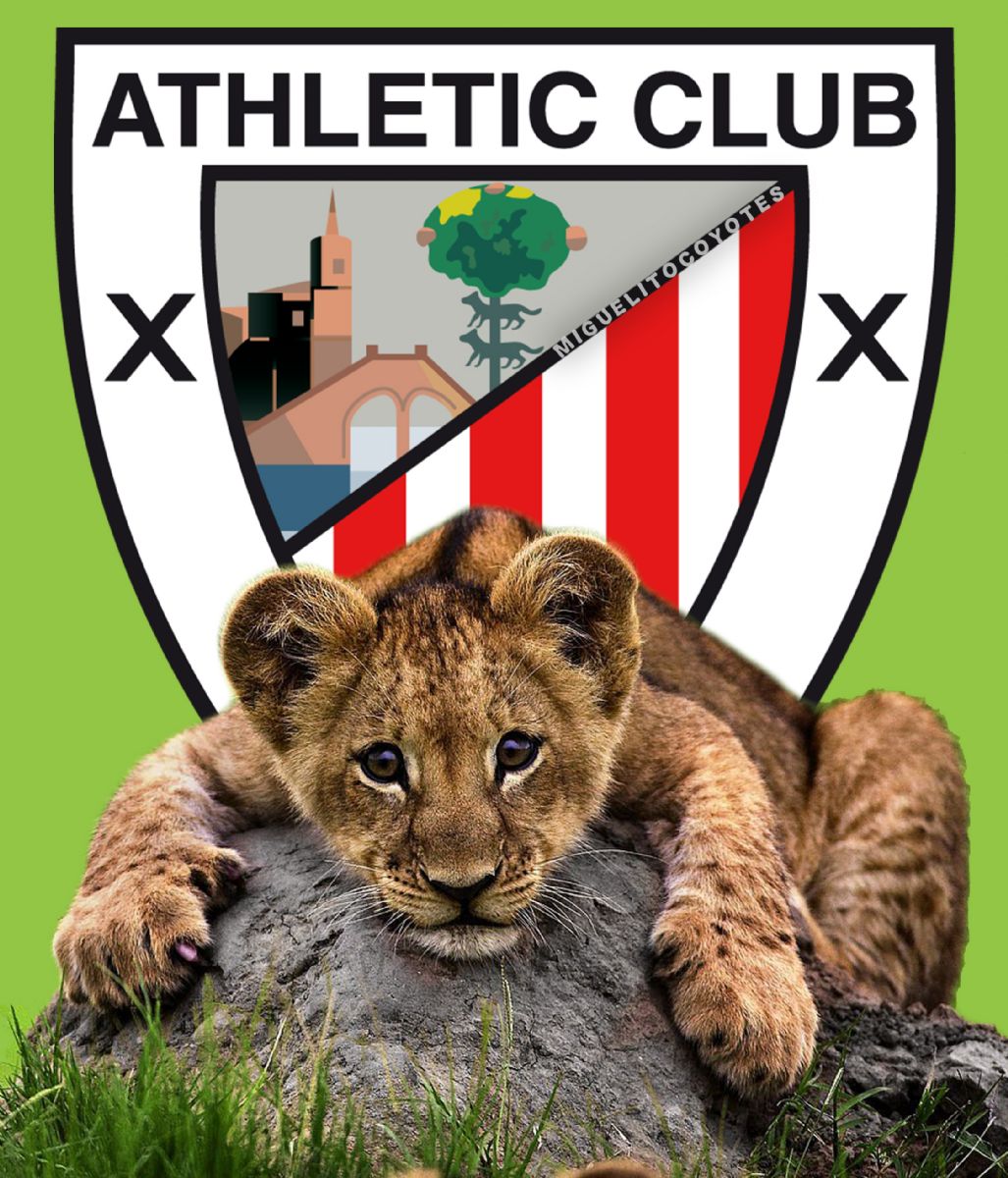 MIGUELITOCOYOTES