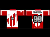 Camiseta