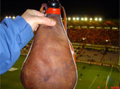 La bota en Valladolid