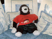 Gorilo