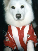 Beste athleticzale bat