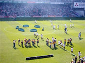 Saltan al campo