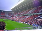 El dia de la semifinal