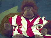 Mi mascota del foro