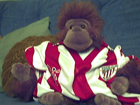 Mi mascota del foro