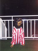 Todos somos athletic