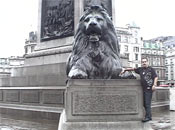 Trafalgar Square Tree Lions