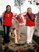 La vaca de Mundaka