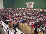 Ambientillo 