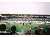 Racing - Athletic