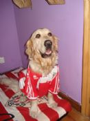 Fede - Camiseta Athletic