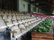 El palco de la Catedral