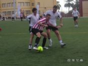 Los leones de Córdoba