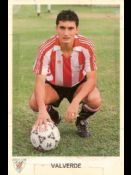 Txingurri Valverde